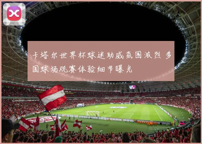 卡塔尔世界杯球迷助威氛围浓烈 多国球场观赛体验细节曝光