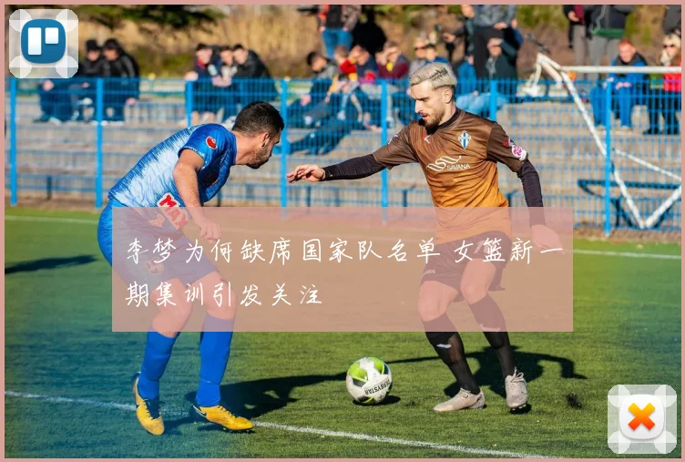 李梦为何缺席国家队名单 女篮新一期集训引发关注